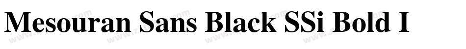 Mesouran Sans Black SSi Bold Italic字体转换